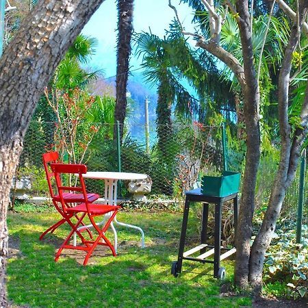 Belvedere - Apartment With Balcony Lake View سالا كوماسينا المظهر الخارجي الصورة