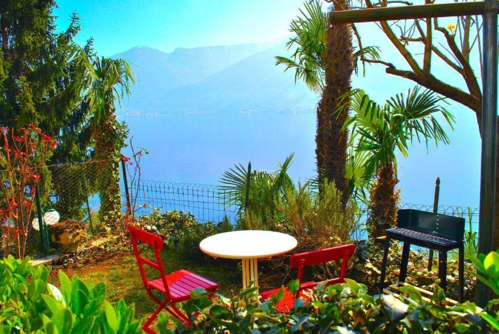 Belvedere - Apartment With Balcony Lake View سالا كوماسينا المظهر الخارجي الصورة