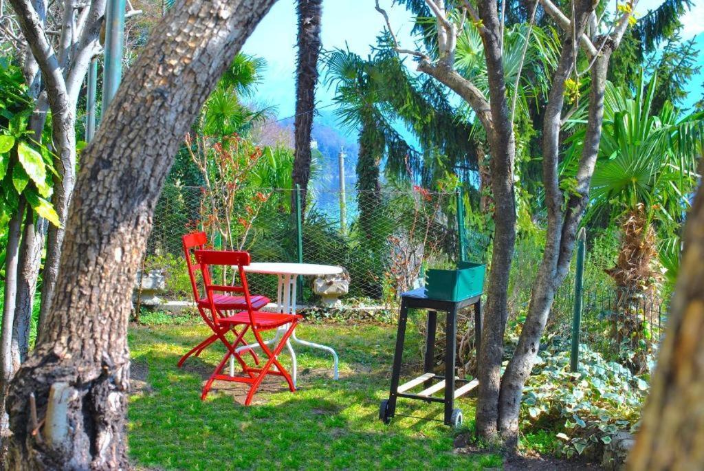 Belvedere - Apartment With Balcony Lake View سالا كوماسينا المظهر الخارجي الصورة